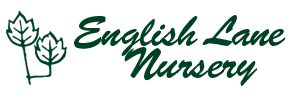 English Lane Nursery